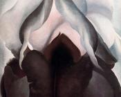 乔治亚 奥基夫 : Black Iris III